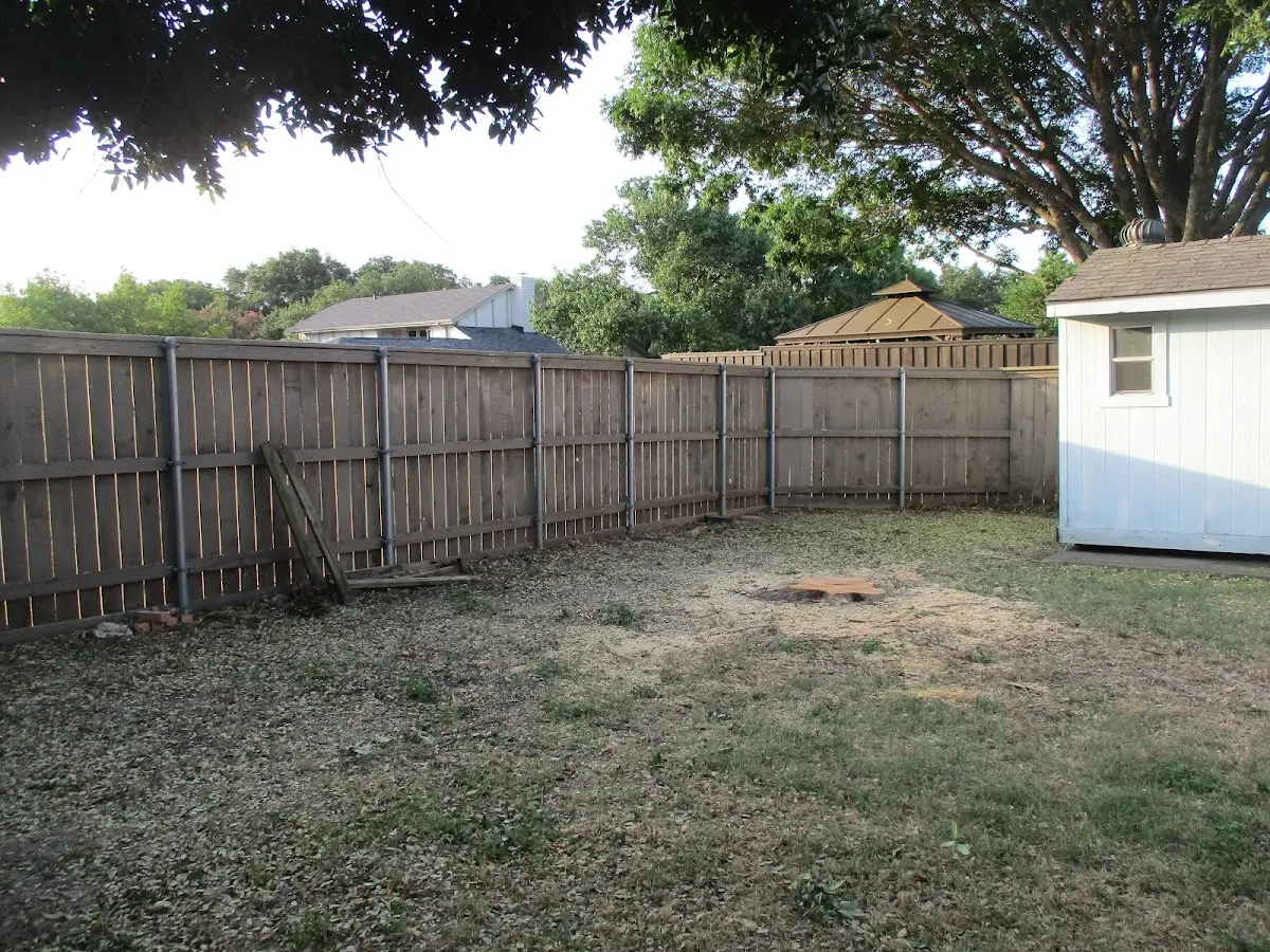 Cleared yard after professional tree removal in La Joya